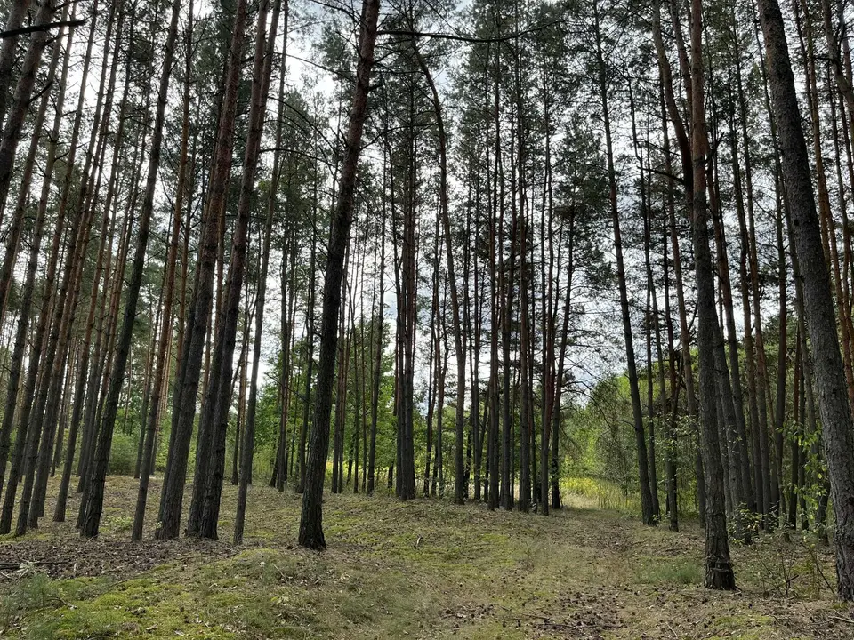 Zdjęcie 3
