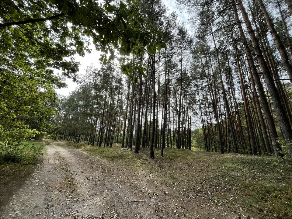 Zdjęcie 14