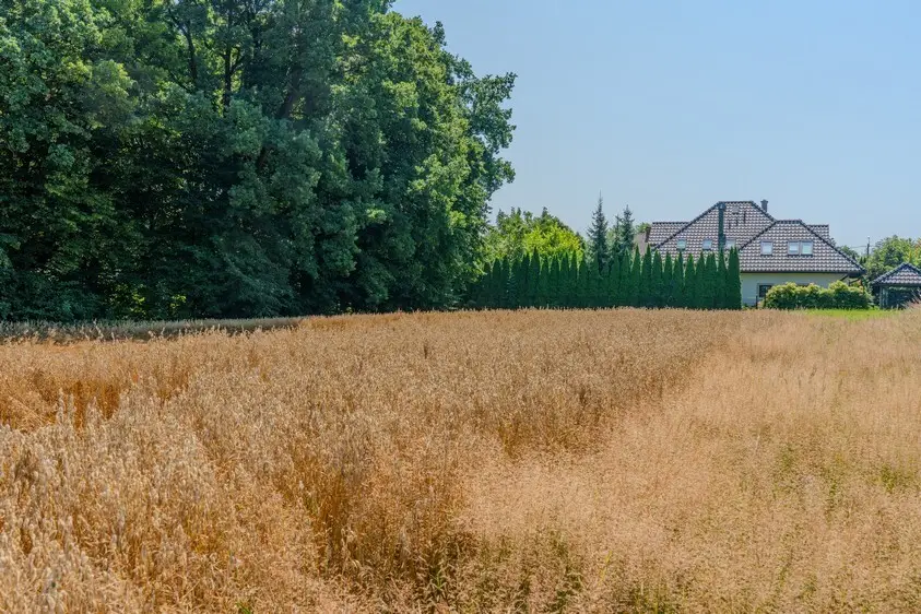 Zdjęcie 11