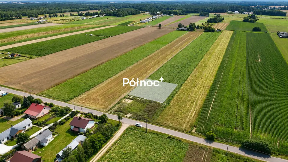 Zdjęcie 7