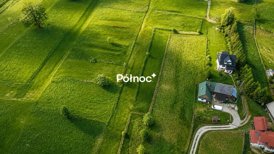Zdjęcie 4