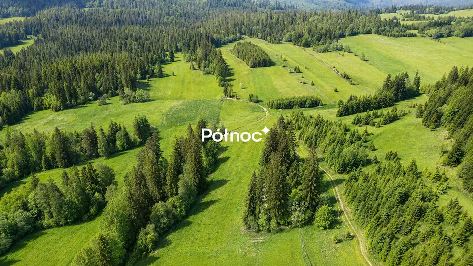 Zdjęcie 7