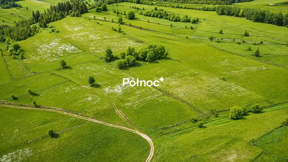 Zdjęcie 9