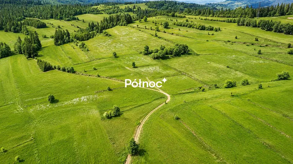 Zdjęcie 10