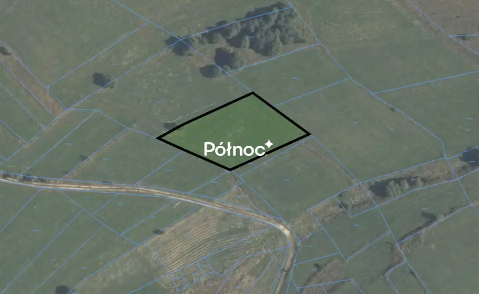 Zdjęcie 11