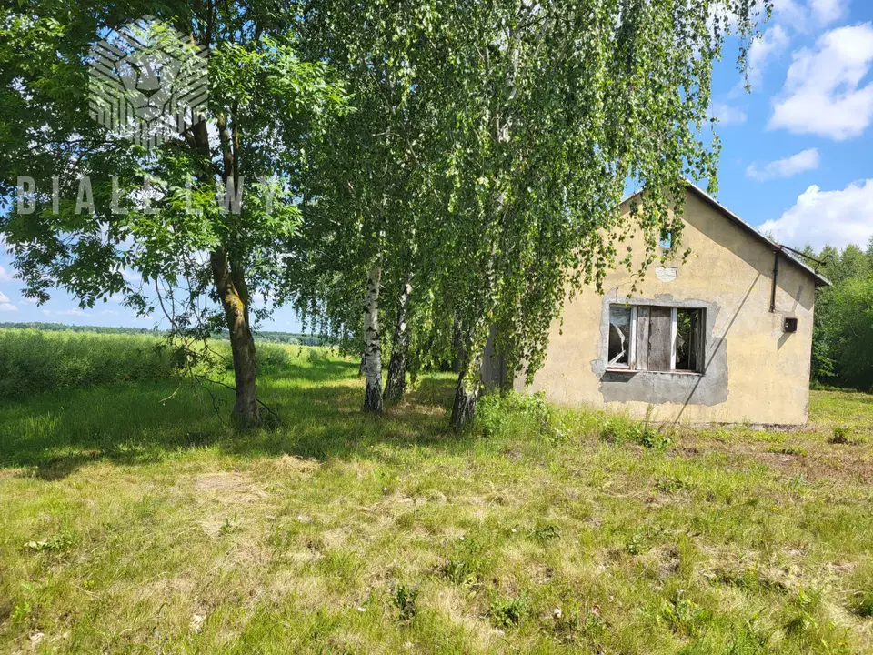 Zdjęcie 5