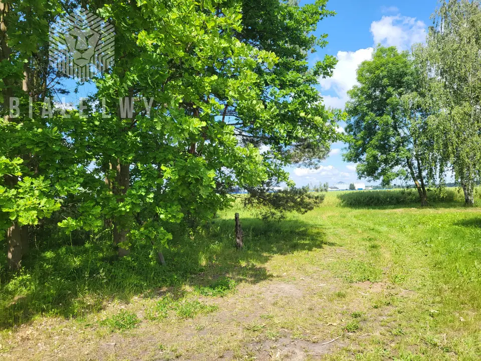 Zdjęcie 8
