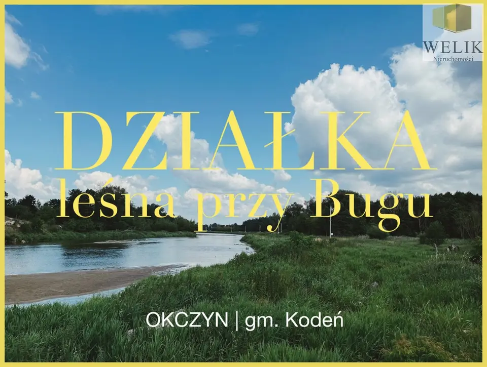 Działka leśna 1,56 ha, Okczyn