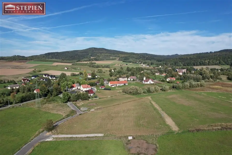 Zdjęcie 10