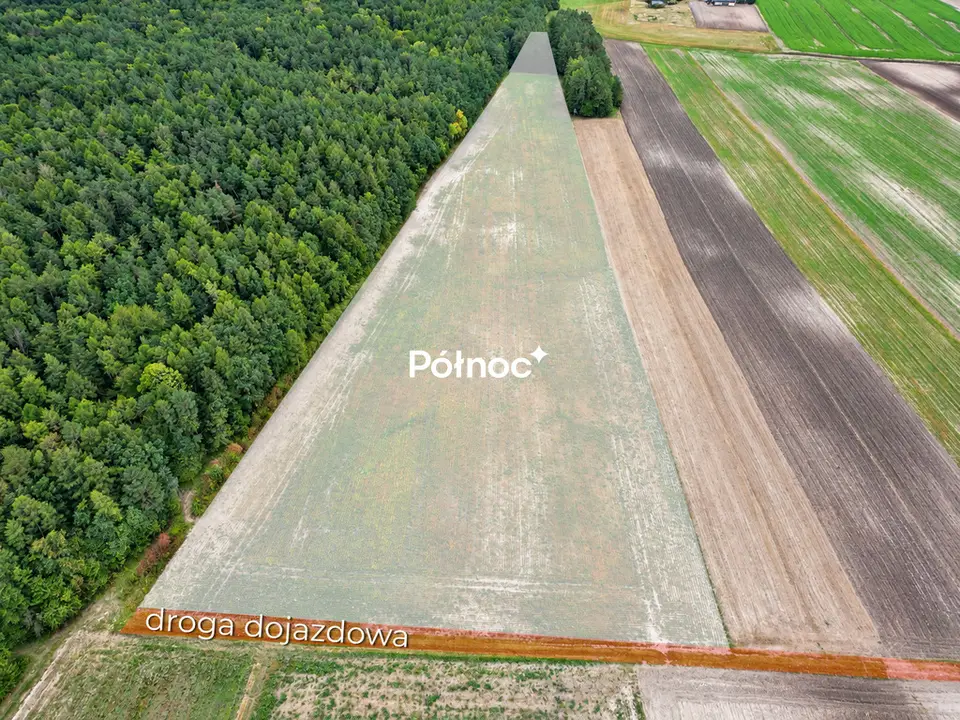 Zdjęcie 4