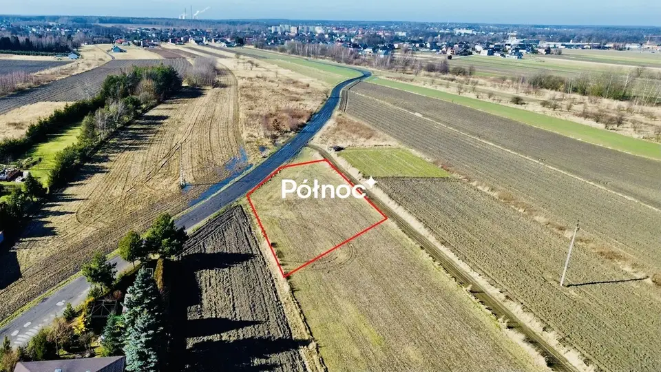 Zdjęcie 11
