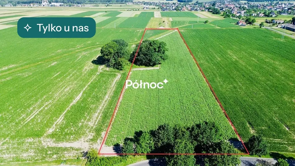 Działka rolna 2,24 ha, Chudów