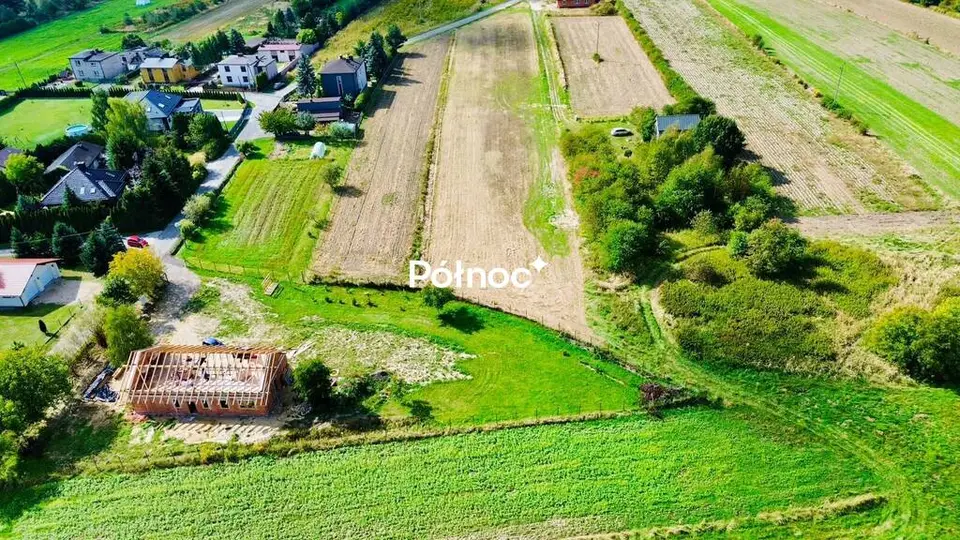 Zdjęcie 3
