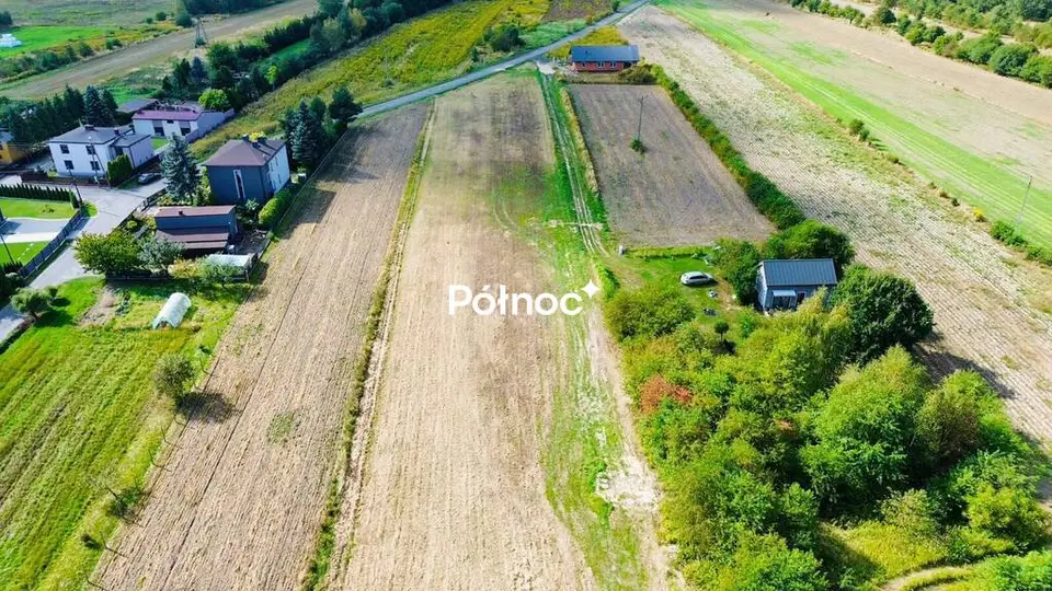 Zdjęcie 5