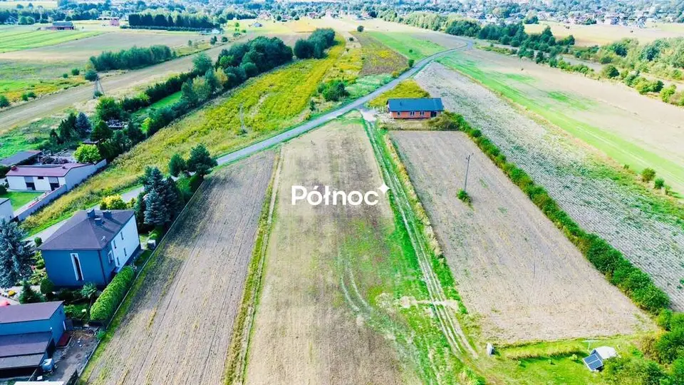 Zdjęcie 6
