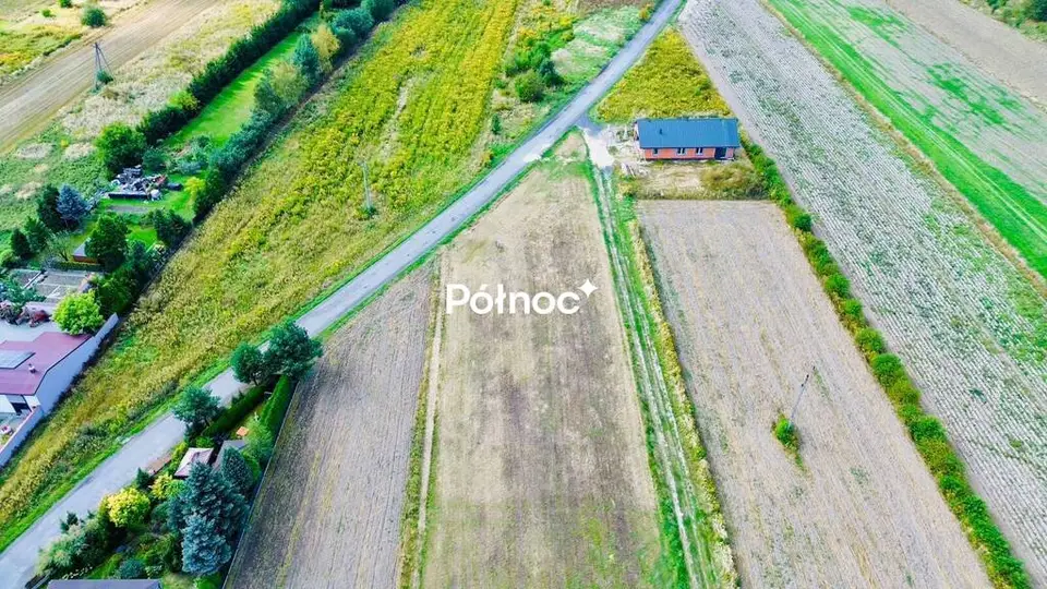 Zdjęcie 8