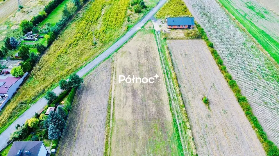 Zdjęcie 13