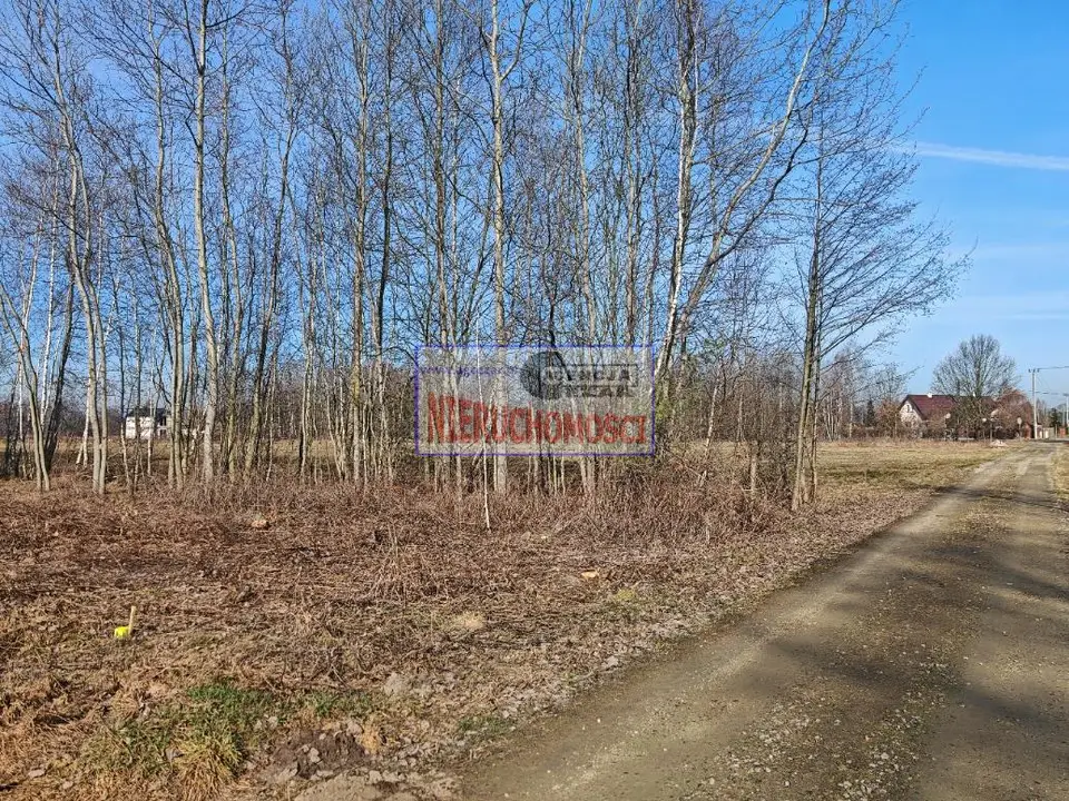 Zdjęcie 4