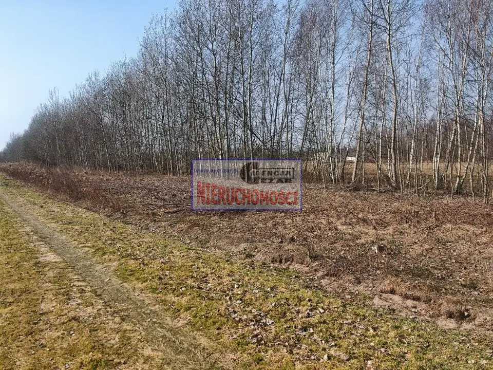 Zdjęcie 6