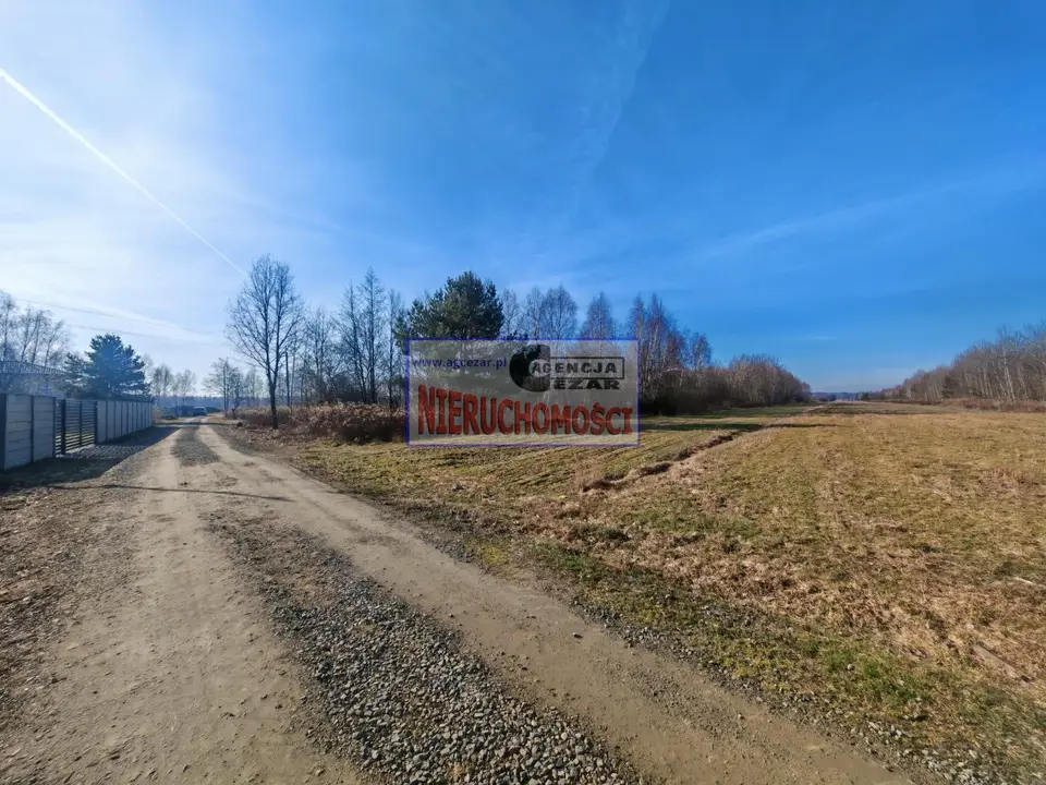 Zdjęcie 12