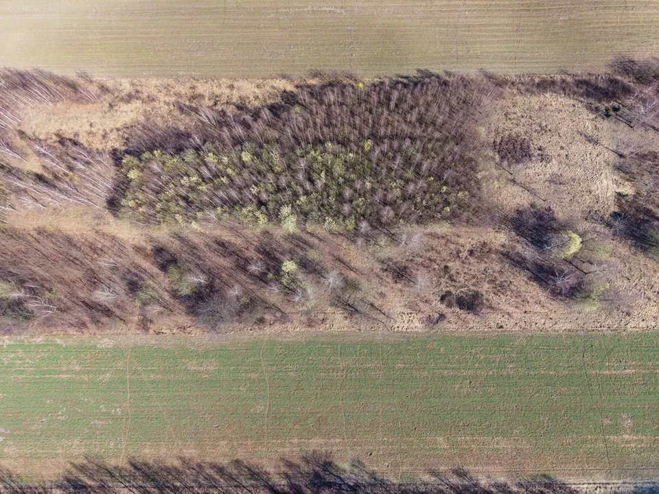 Zdjęcie 9
