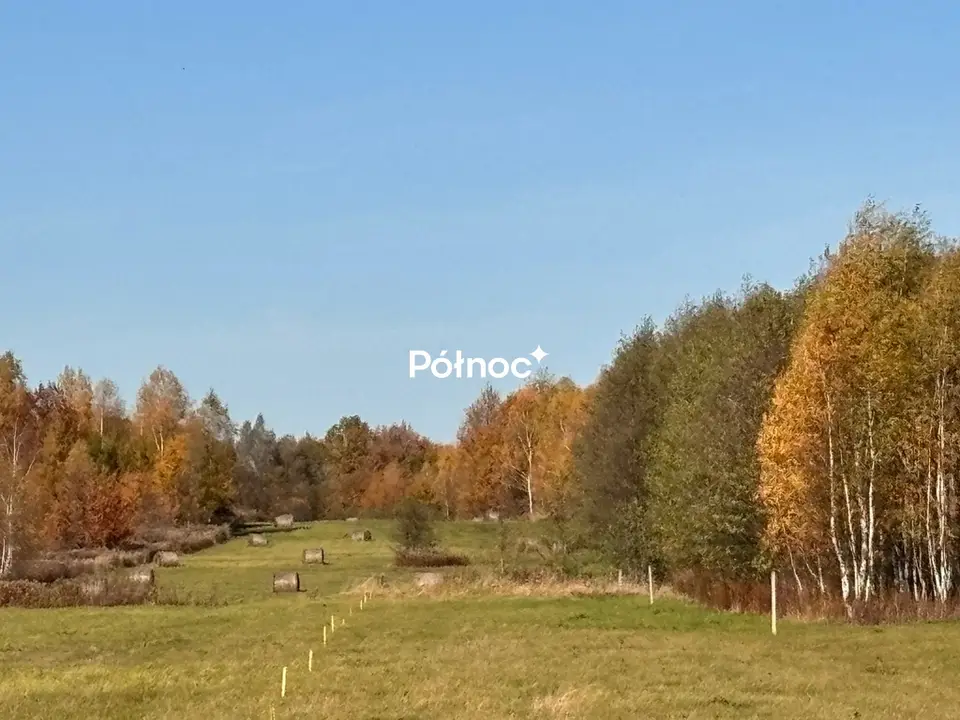 Zdjęcie 3