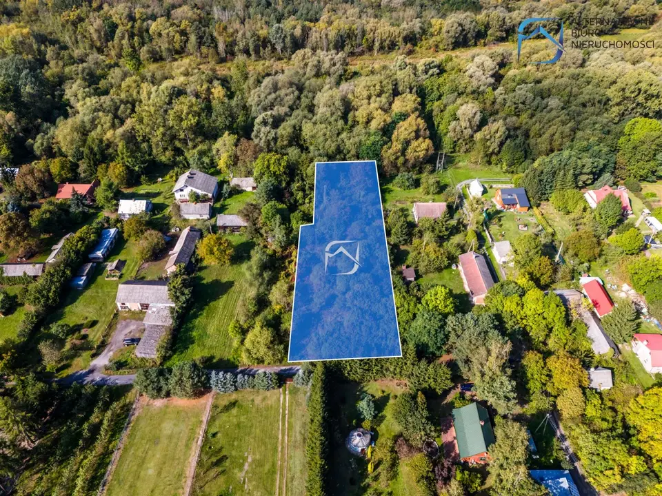 Zdjęcie 8
