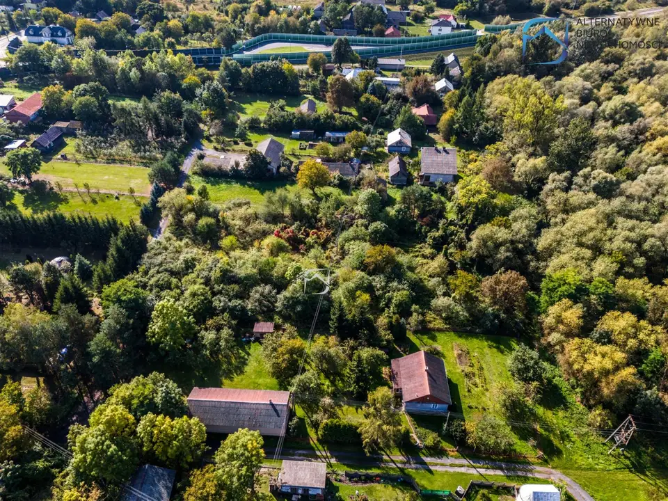 Zdjęcie 10