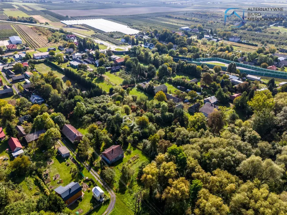 Zdjęcie 12