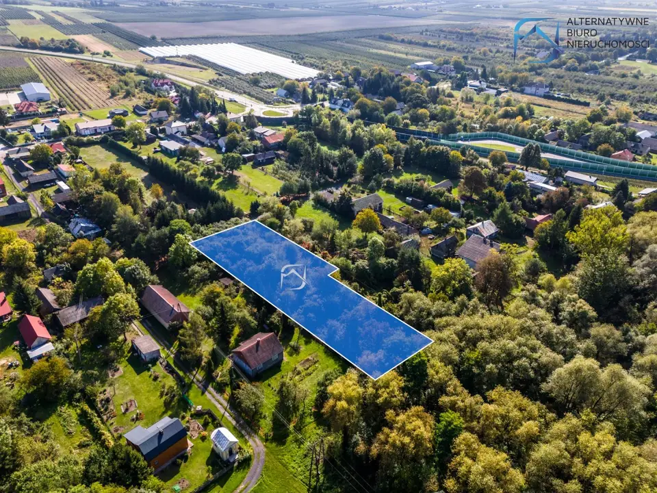 Zdjęcie 13