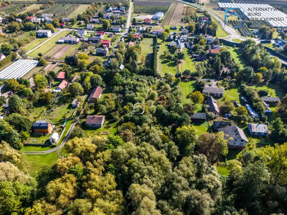 Zdjęcie 14