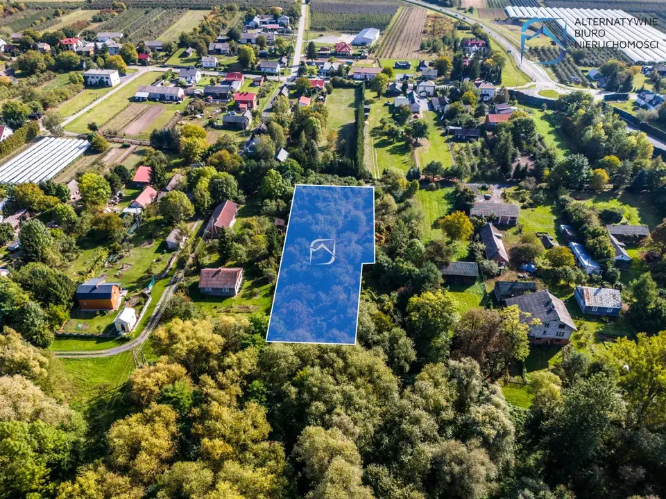 Zdjęcie 15