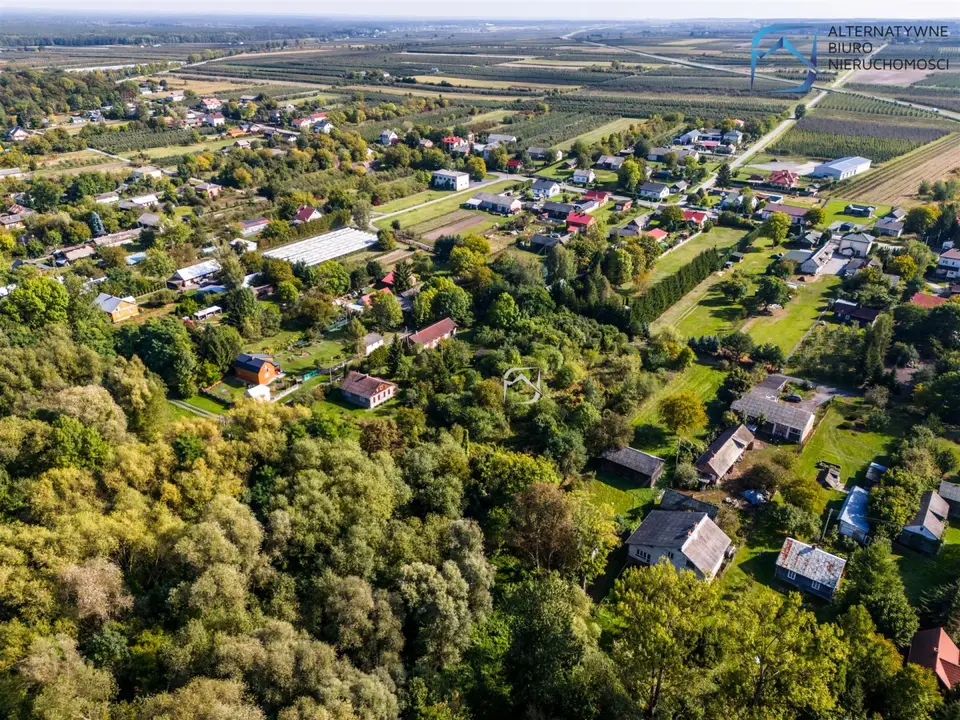 Zdjęcie 16