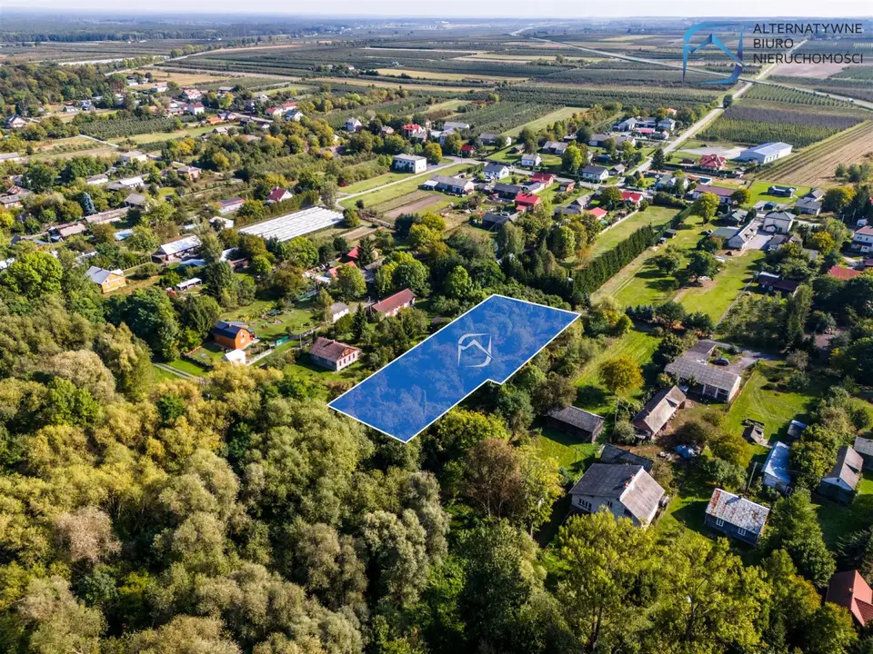 Zdjęcie 17