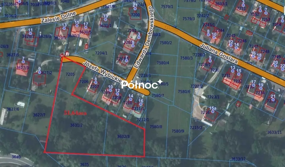 Zdjęcie 6