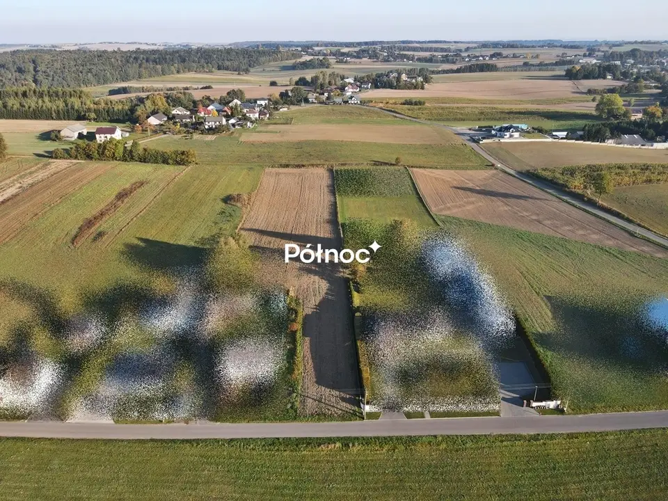 Zdjęcie 5