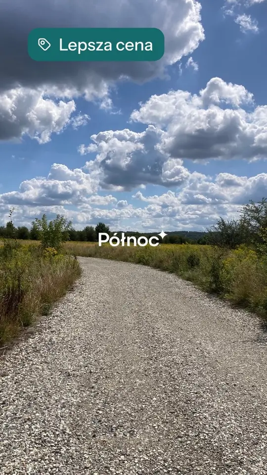 Zdjęcie 3