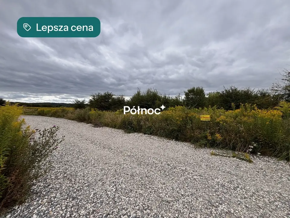 Zdjęcie 5