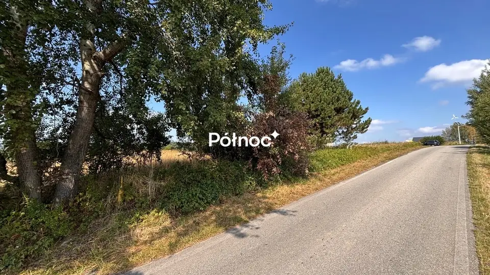 Zdjęcie 3