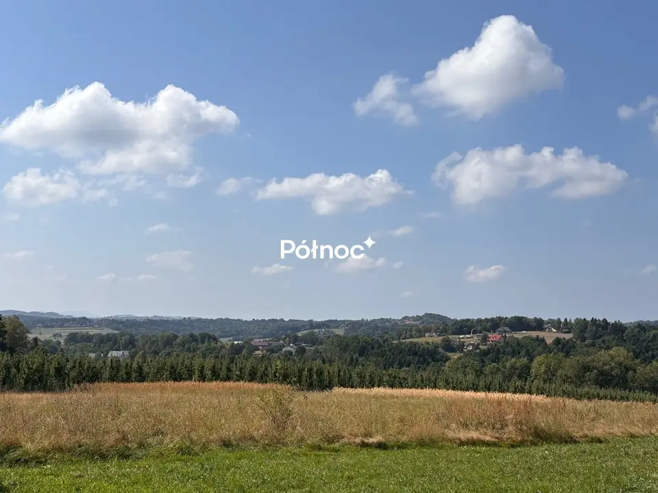 Zdjęcie 4