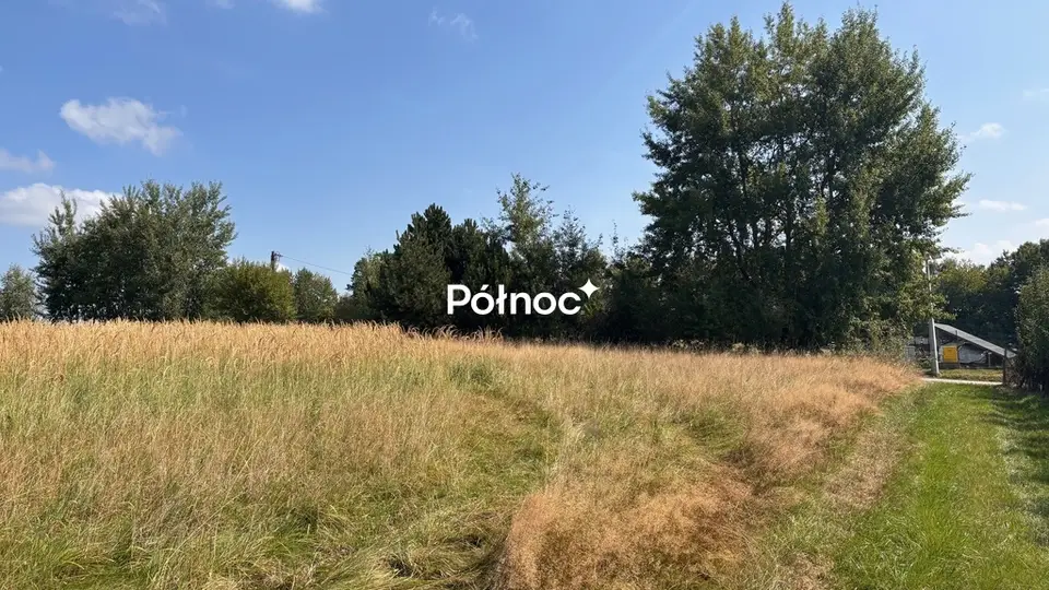 Zdjęcie 5