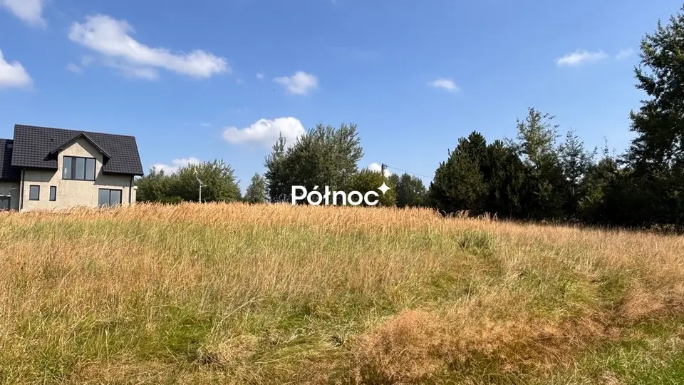 Zdjęcie 6