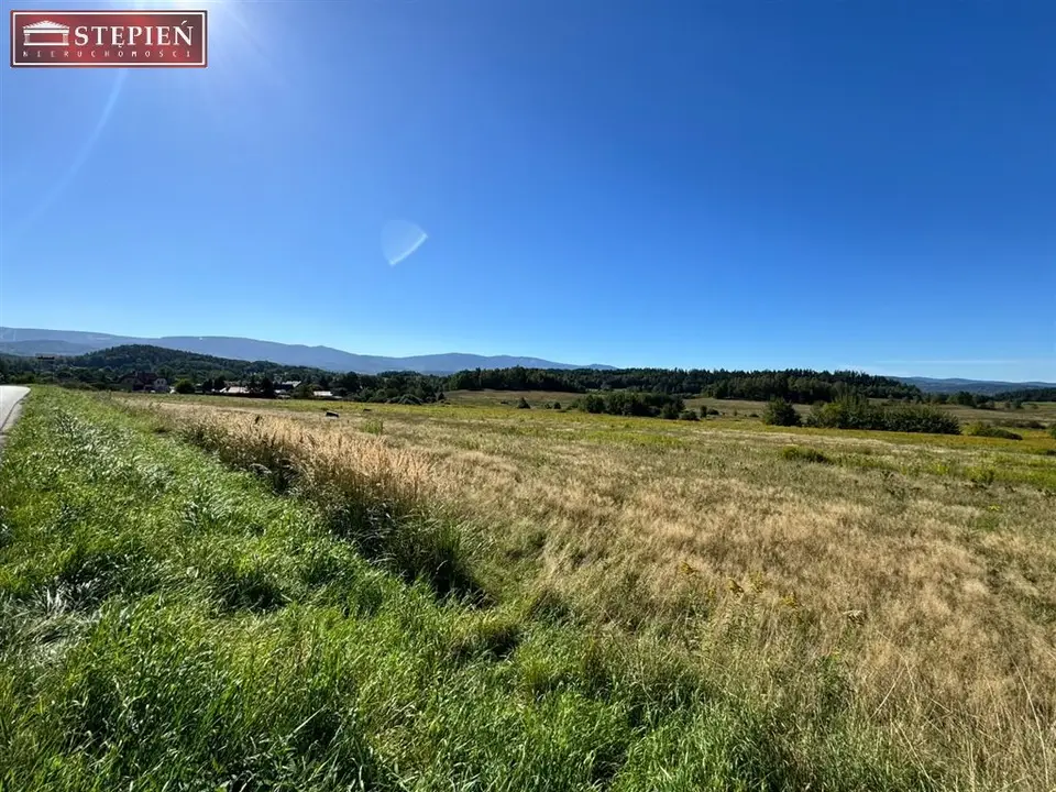 Zdjęcie 10