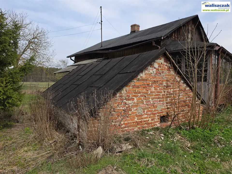 Zdjęcie 5