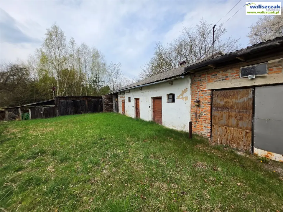 Zdjęcie 6