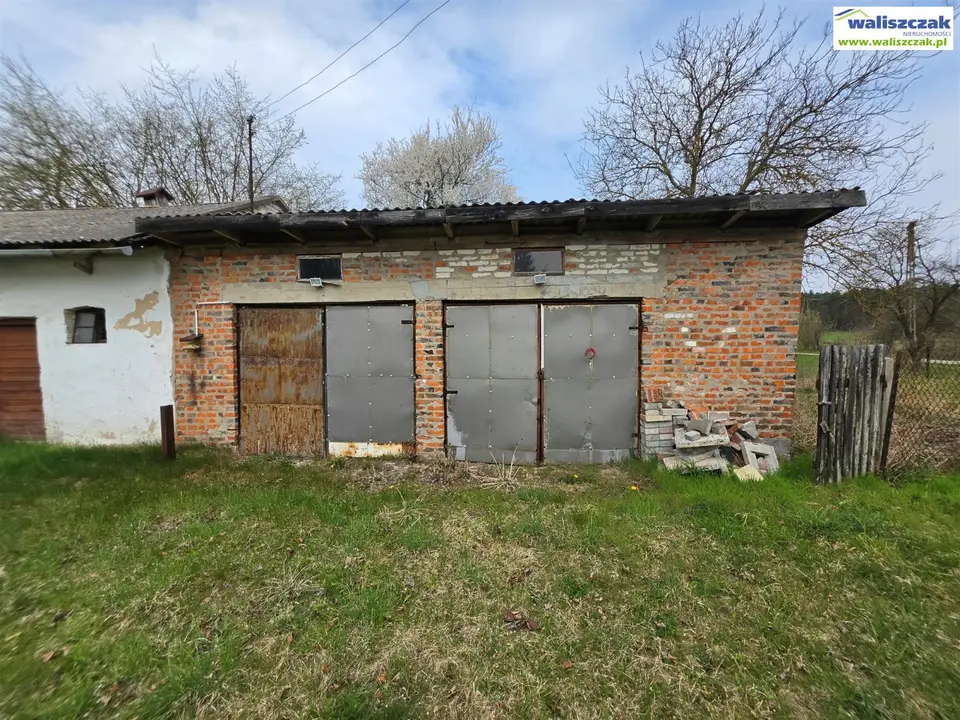 Zdjęcie 8