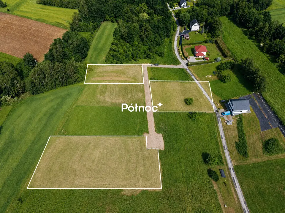 Zdjęcie 5
