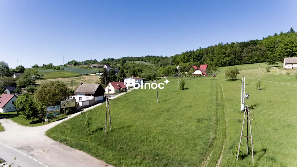 Zdjęcie 6