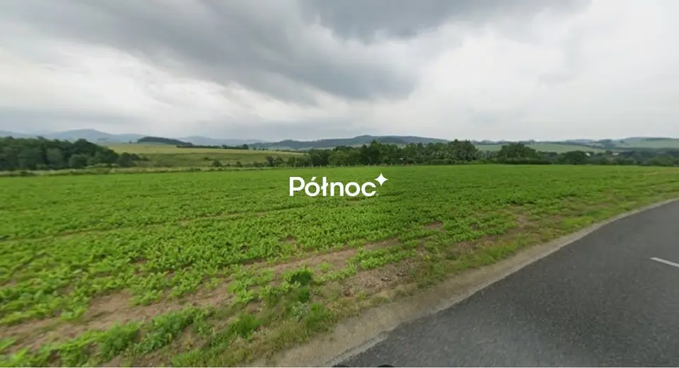 Zdjęcie 2
