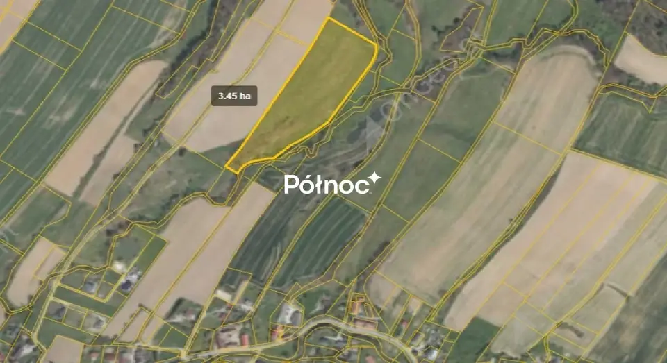 Zdjęcie 4